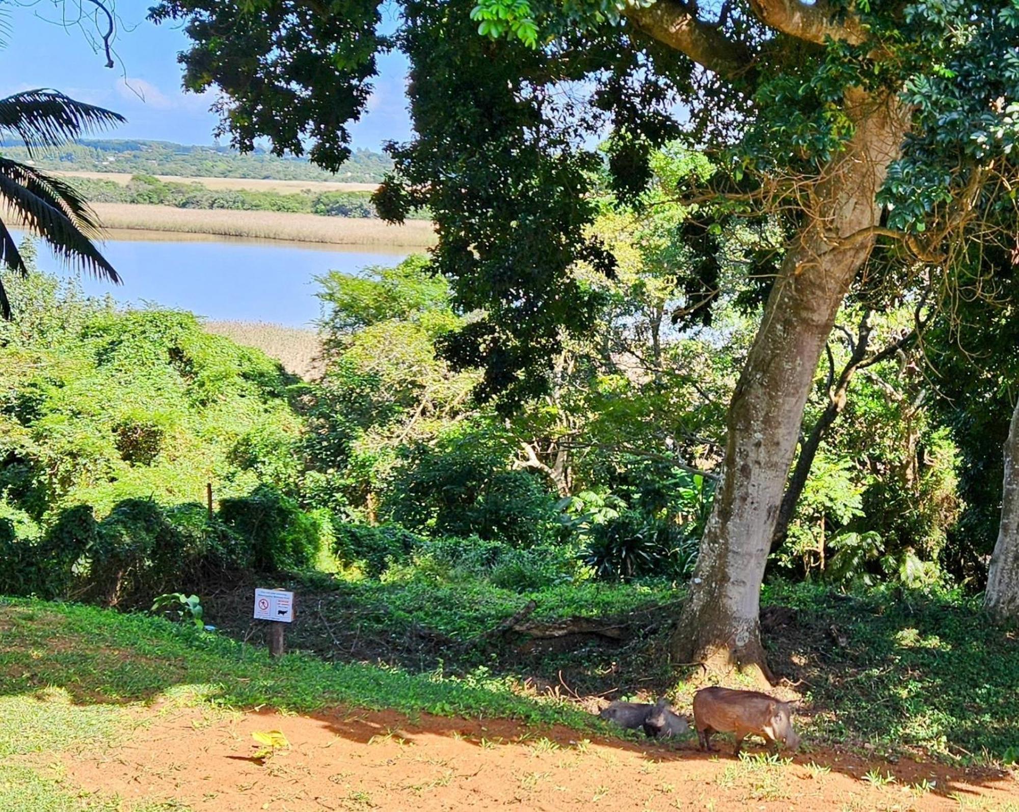Appartamento Estuary Views At 6 The Bridge Saint Lucia Estuary Esterno foto